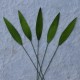 Листики 10 шт. 25мм GREEN MULBERRY PAPER MEDIUM GRASS