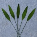 Листики 10 шт. 25мм GREEN MULBERRY PAPER MEDIUM GRASS