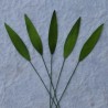 Листики 10 шт. 25мм GREEN MULBERRY PAPER MEDIUM GRASS