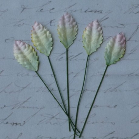 Листики 10 шт. 25мм 2-tone green/white Mulberry Paper Leaves