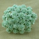 Розочки 15мм, 5 шт, AQUA MULBERRY PAPER OPEN ROSES