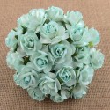 Розы 30мм, 5 шт AQUA MULBERRY PAPER WILD ROSES