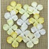 Гортензии 5 шт, 35мм MIXED WHITE, CREAM & IVORY HYDRANGRA BLOOMS