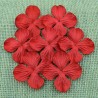 Гортензии 5 шт, 35мм RED HYDRANGRA BLOOMS