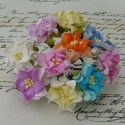 Гардения 35мм, 5 шт, MIXED COLOUR SMALL GARDENIA FLOWERS