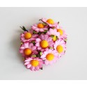 Ромашки розовые 2,5 см, 5 шт